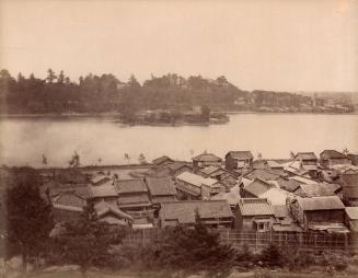 Town and Island with Houses