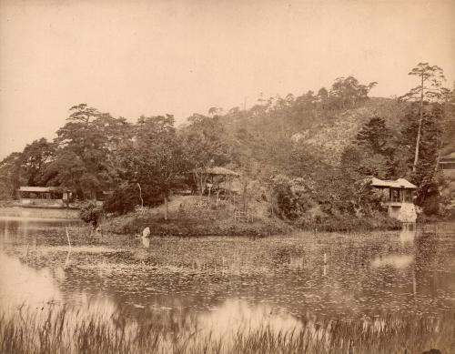 Garden and Lake with Water Lilies