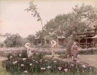 Three Women in an Iris Garden