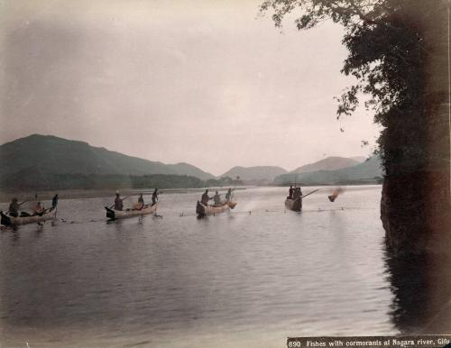 Fishers with Cormorants at Nagara River, Gifu