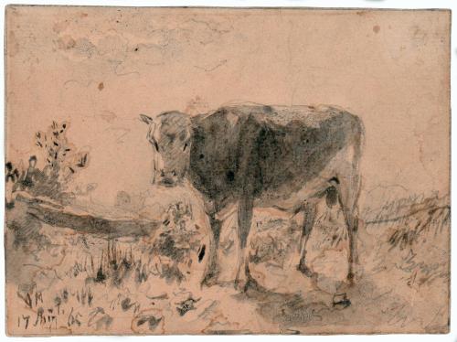 Landscape with cow