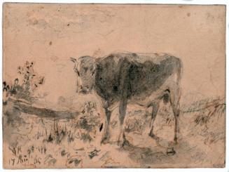 Landscape with cow