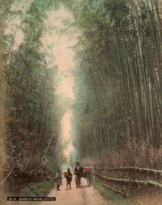 [Bamboo Grove, Kioto]