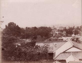 Town from a Hill