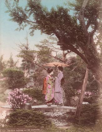 Woman Holding Up an Umbrella