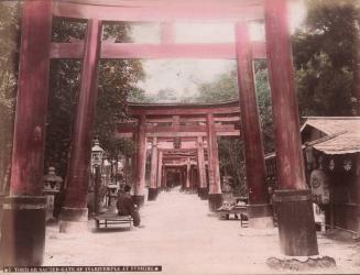 Torii or Sacred Gate of Inari Temple at Fushimi