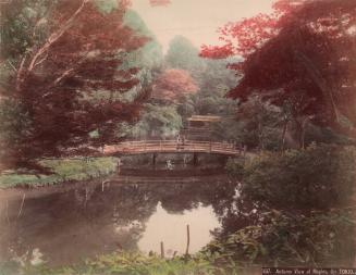 Autumn View of Maples, Oji Tokio