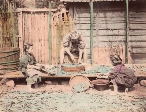 Two Women and a Man Drying Fish