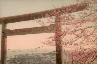 Torii, Cherry Blossom and Harbor