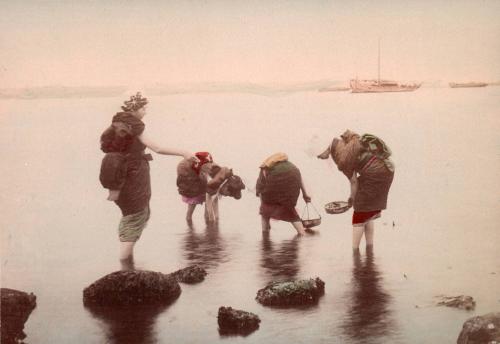 Women Gathering Shellfish