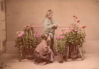 Chrysanthemum Seller