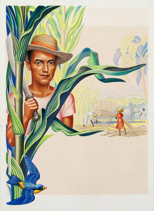 [Ad campaign for Alcoa (Dominican Republic)]