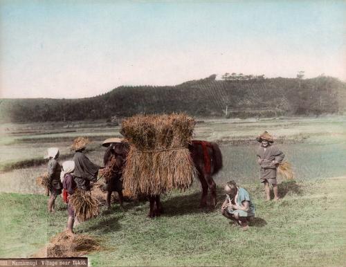 1021 Namamugi Village near Tokio