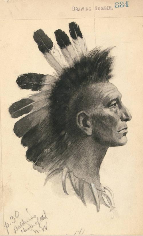 Portrait of a Native American Indian