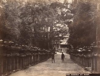 Kasuga at Nara