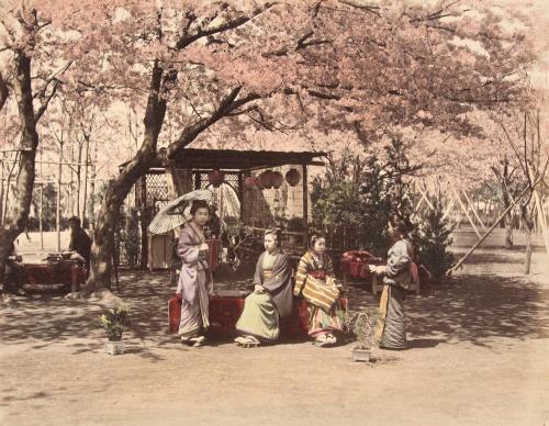 Girls Under Cherry Tree