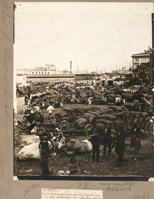 Wheat for export at South Russia's great sea front, Odessa