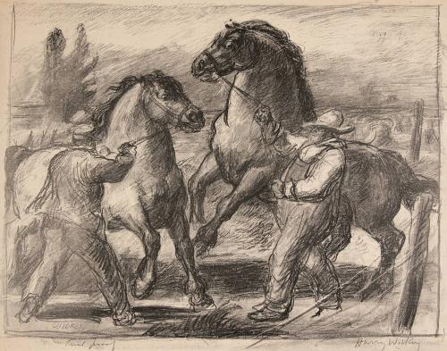 [Stallion and Mare Trial Proof]