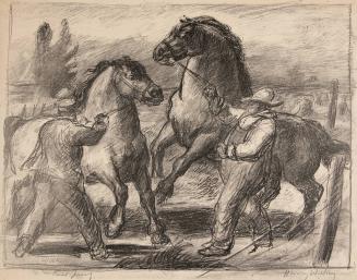 [Stallion and Mare Trial Proof]