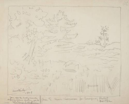 Untitled landscape with pine, maple sapling, rock, grasses, oak.