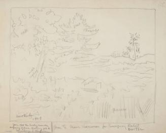 Untitled landscape with pine, maple sapling, rock, grasses, oak.