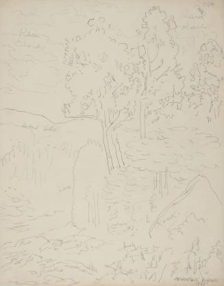 Adirondack birches