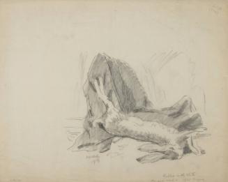 Rabbit with cloth