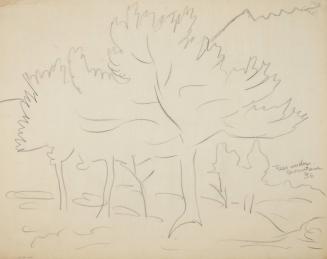 Trees under mountain