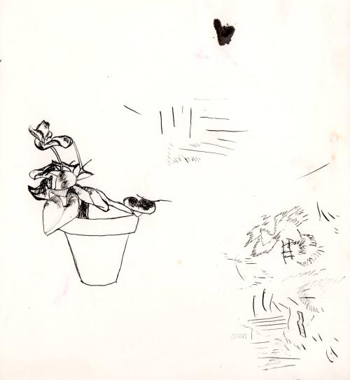 Potted Plant