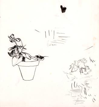 Potted Plant
