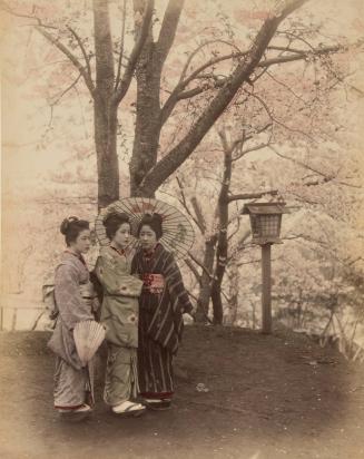 Three women in a park amid cherry blossoms