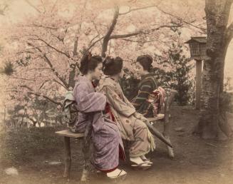 Three women on a park bench amid cherry blossoms