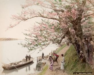 Mukojima, Tokio
