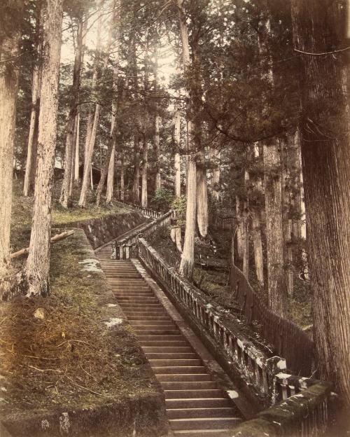 Stone Steps, Nikko