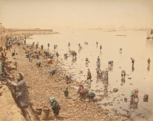 Clamming