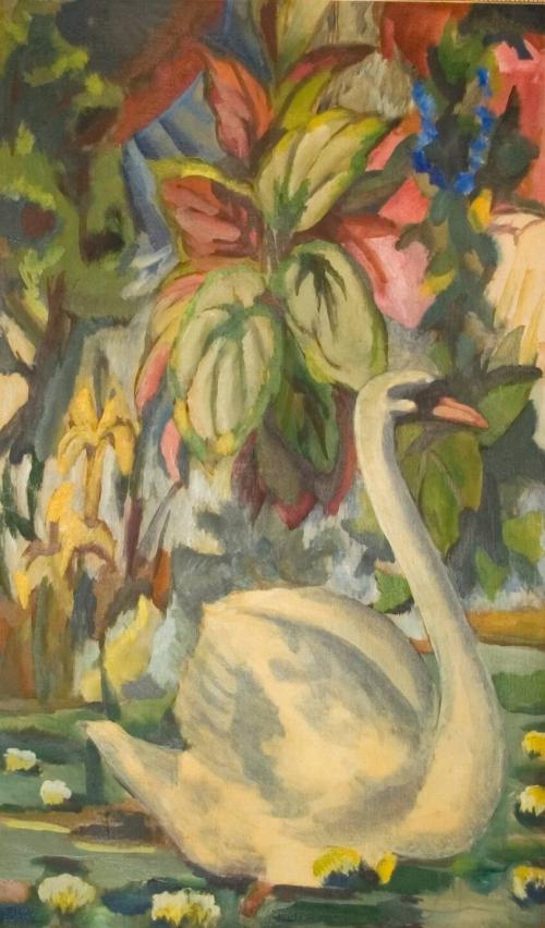 Swan