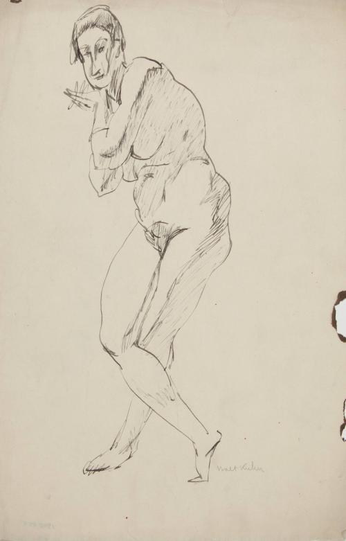 [standing female nude]