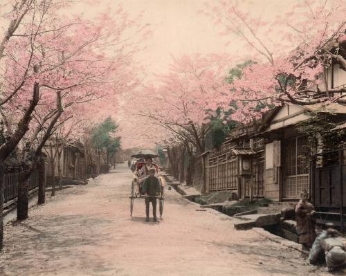 Nogeyama, Yokohama