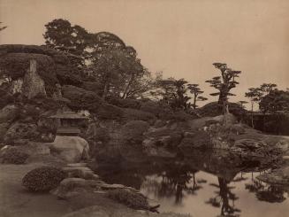 Garden with Pond