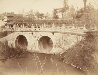 Spectacles Bridge