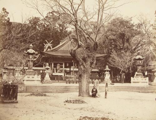 Woman under tree, temple
