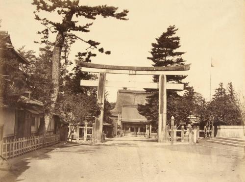 Guyon Torii