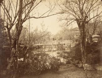 A bridge, framed by trees