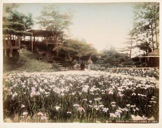 649. Horikiri Iris Flower Garden Tokio