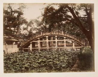1233. Sumiyoshi bridge Osaka