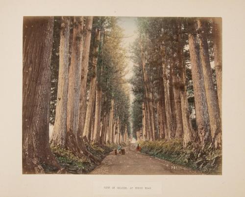 751. View of Imaichi at Nikko Road