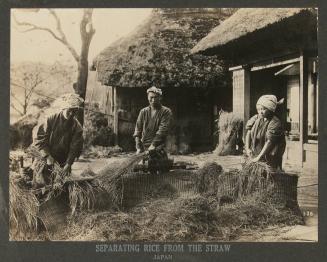 Separating rice from the straw, Japan