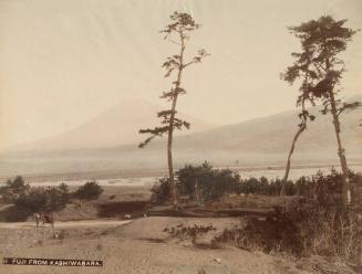 11: Fuji From Kashiwabara