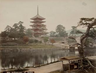 950 Sarusawa at Nara