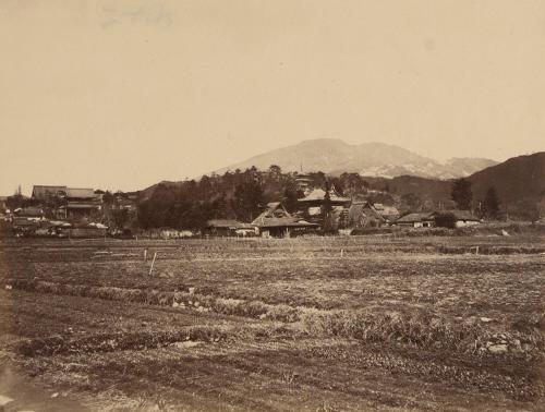 Field and Village